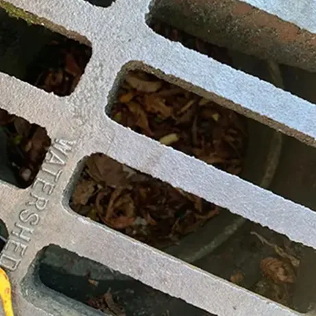 leaf's in drain below